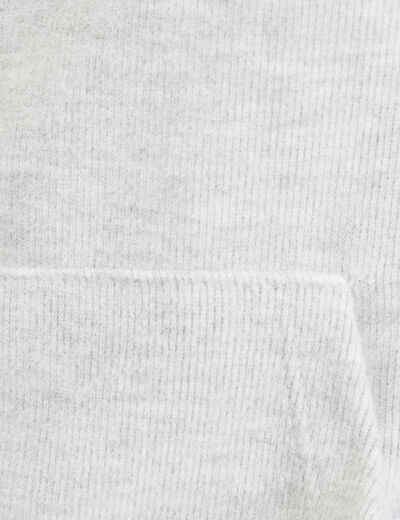 Sweat &agrave; capuche manches longues gris clair femme