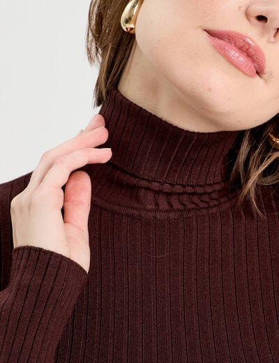 Pull c&ocirc;tel&eacute; col roul&eacute; marron fonc&eacute; femme