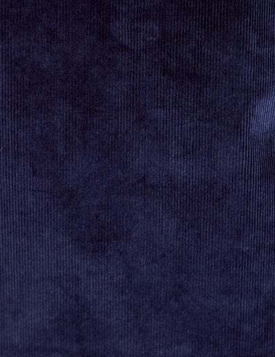 Robe droite velours col montant bleu marine femme