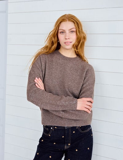 Pull col rond marron fonc&eacute; femme