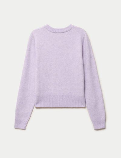 Pull col rond manches longues parme