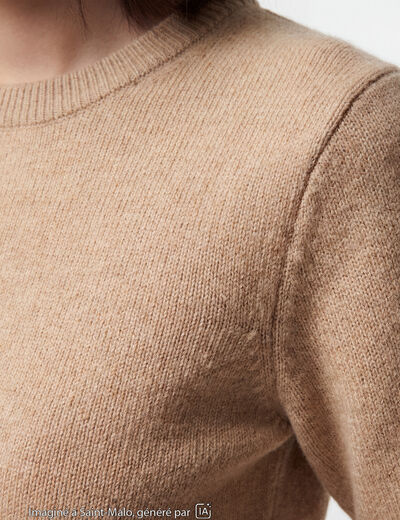 Pull col rond manches courtes beige