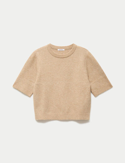Pull col rond manches courtes beige
