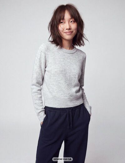 Pull col rond manches longues gris clair