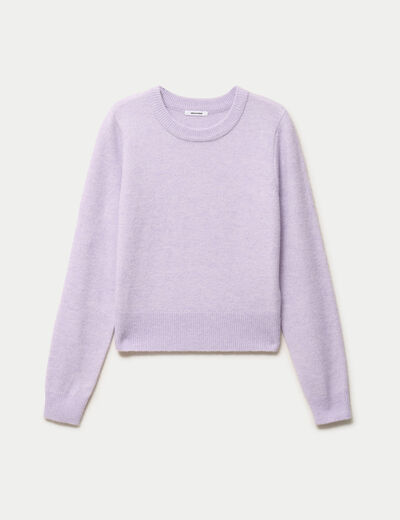 Pull col rond manches longues parme