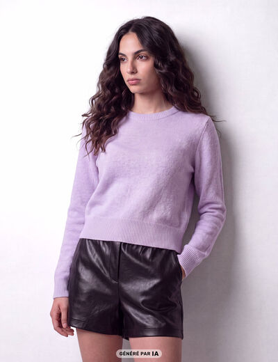 Pull col rond manches longues parme