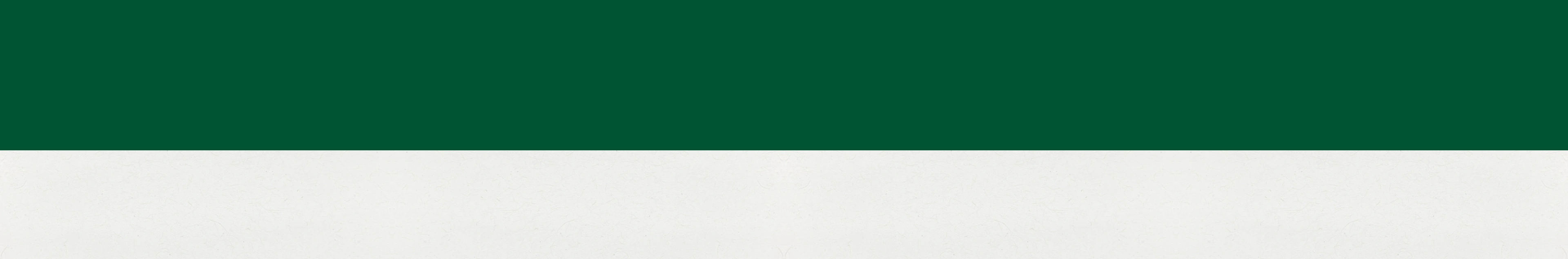 fond vert sapin et texture papier