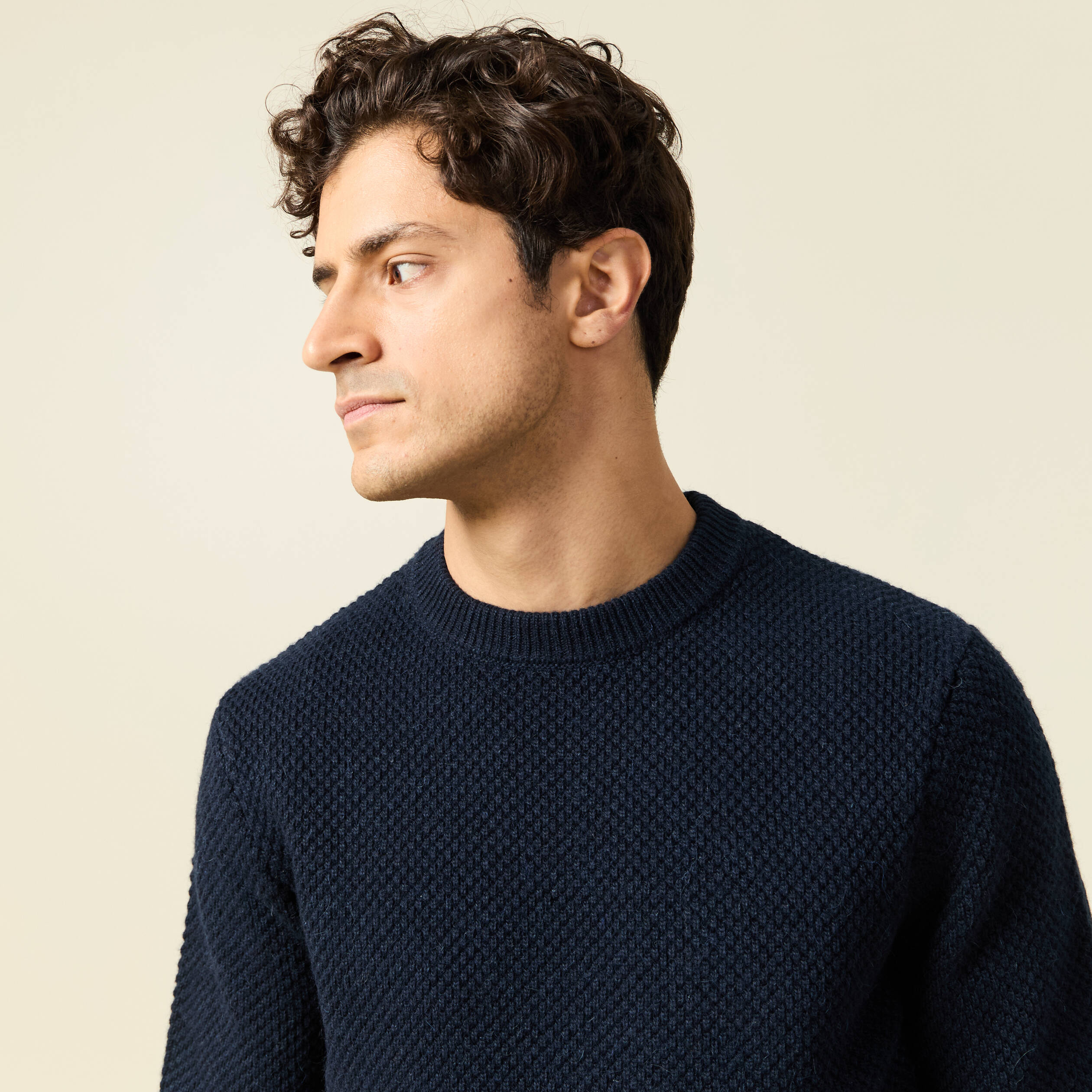 Pull col rond bleu marine homme