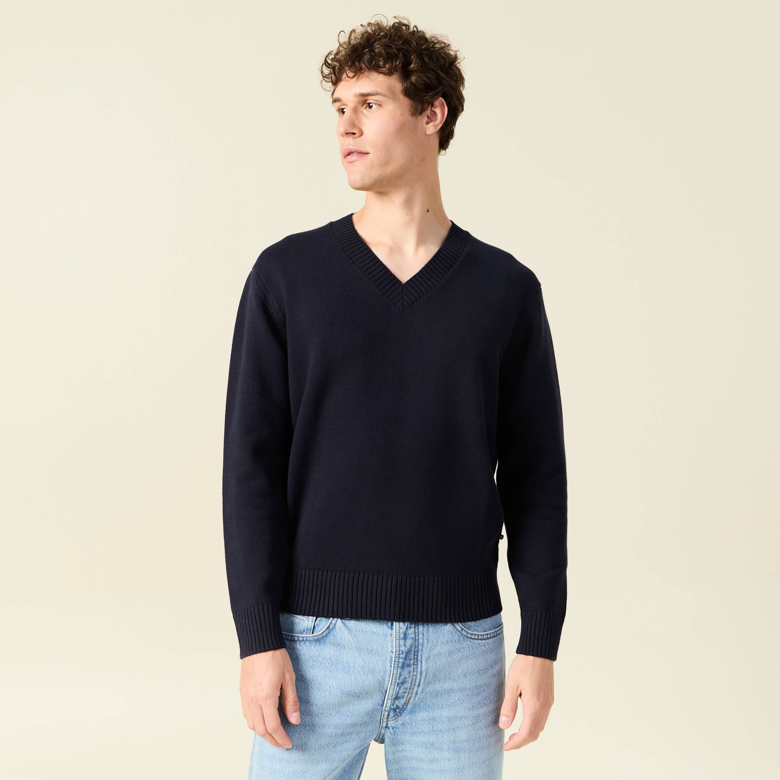 Pull fin col v manches longues bleu marine homme