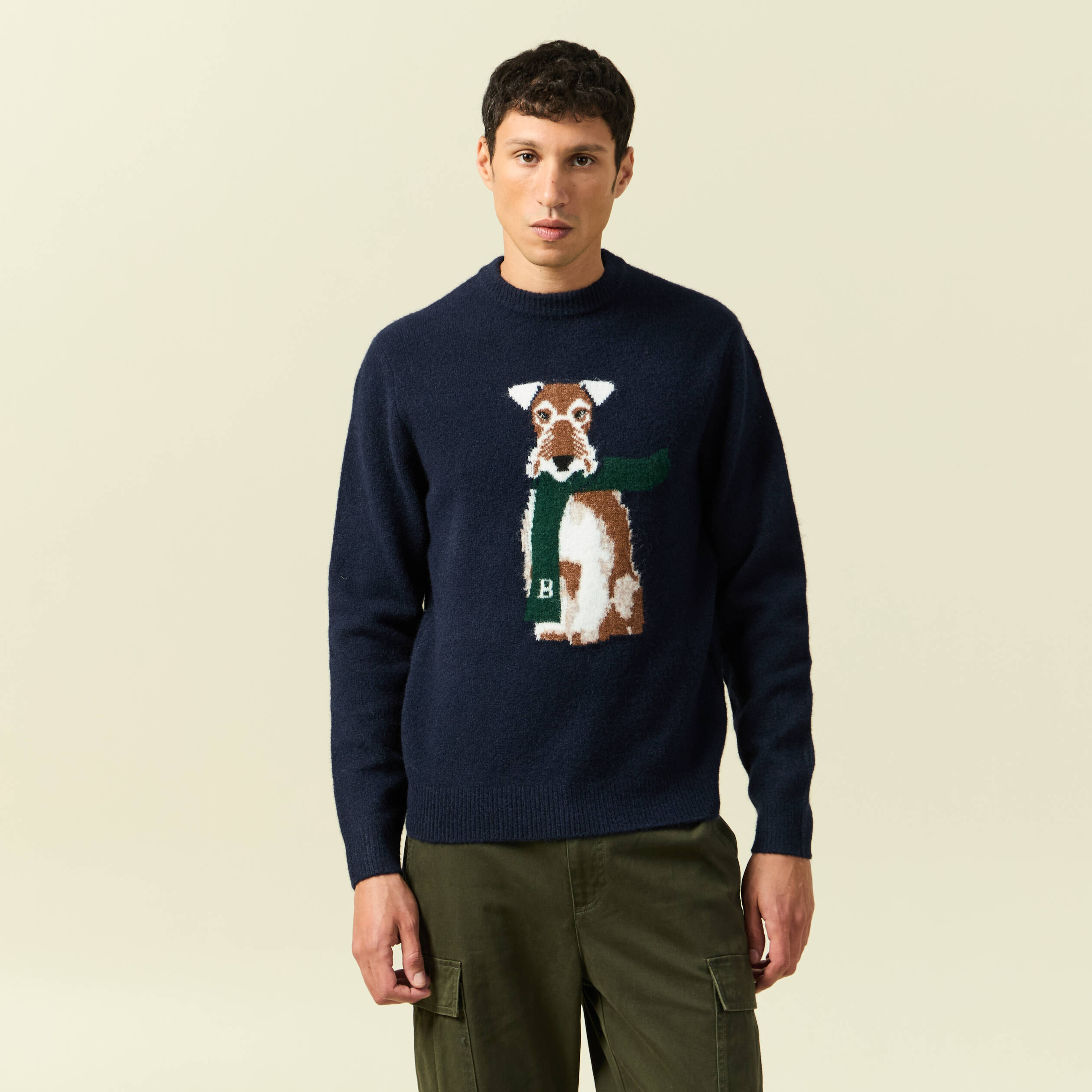 Pull col rond manches longues bleu marine homme