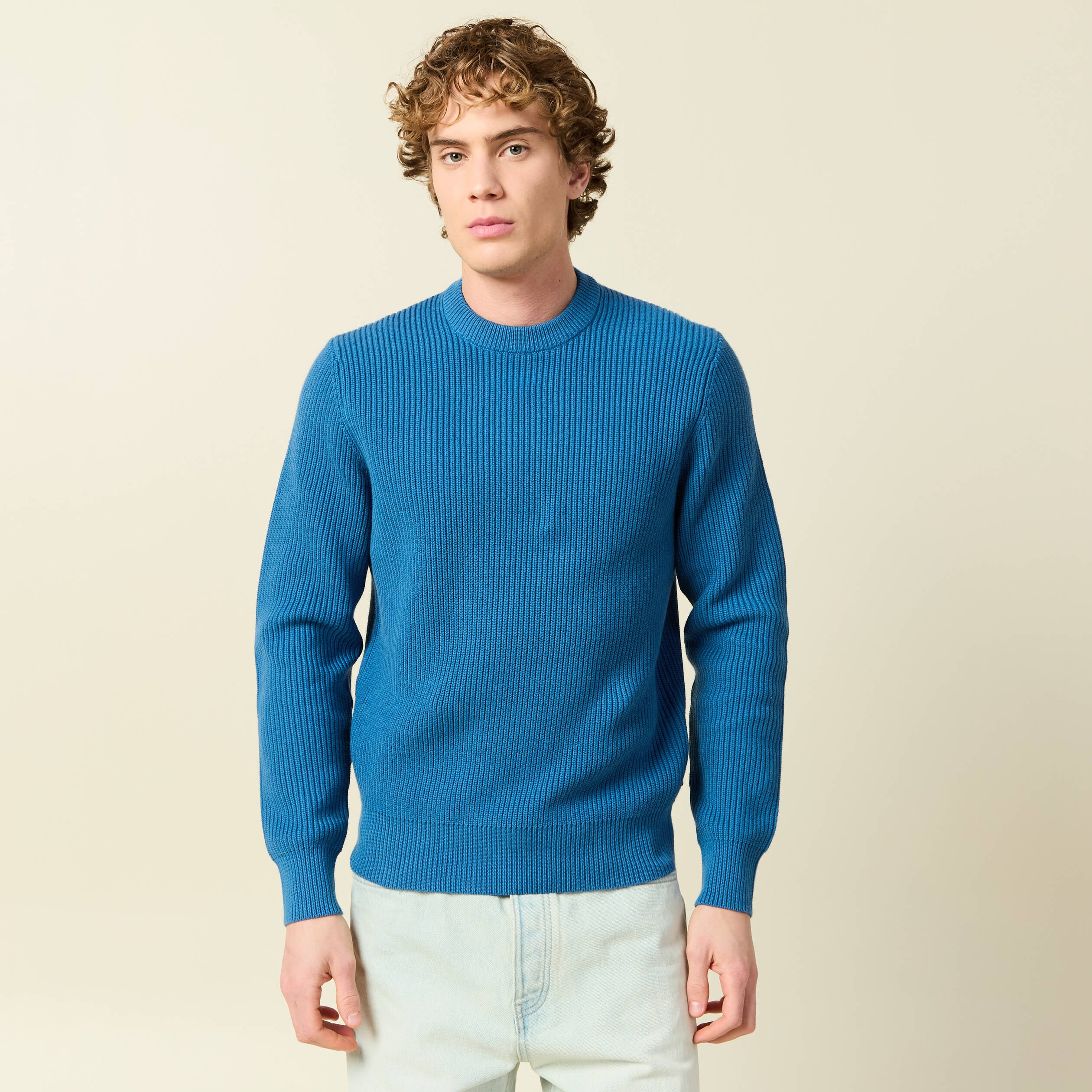 Pull fin manches longues col rond bleu fonc&eacute; homme