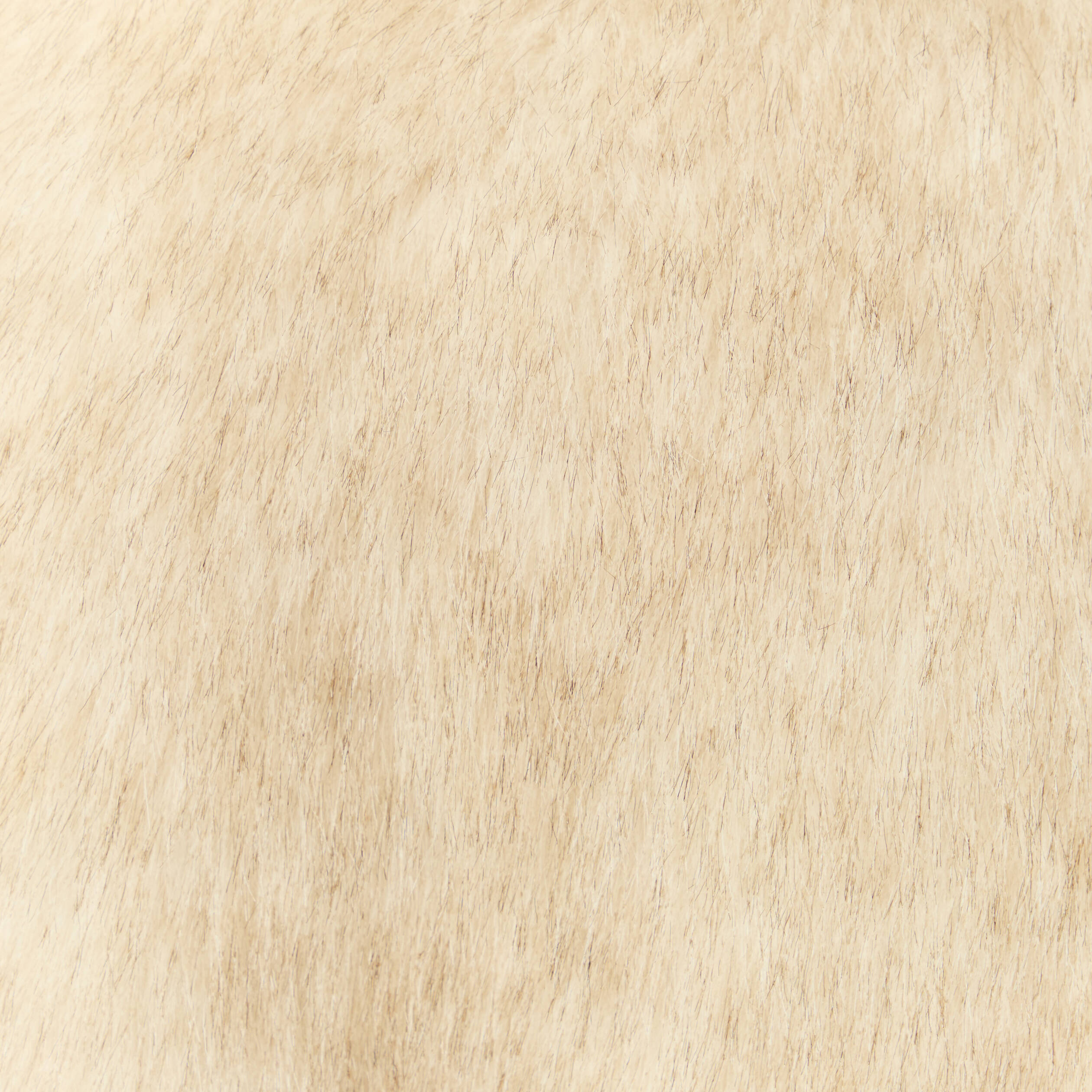 Gilet col tailleur manches longues creme femme