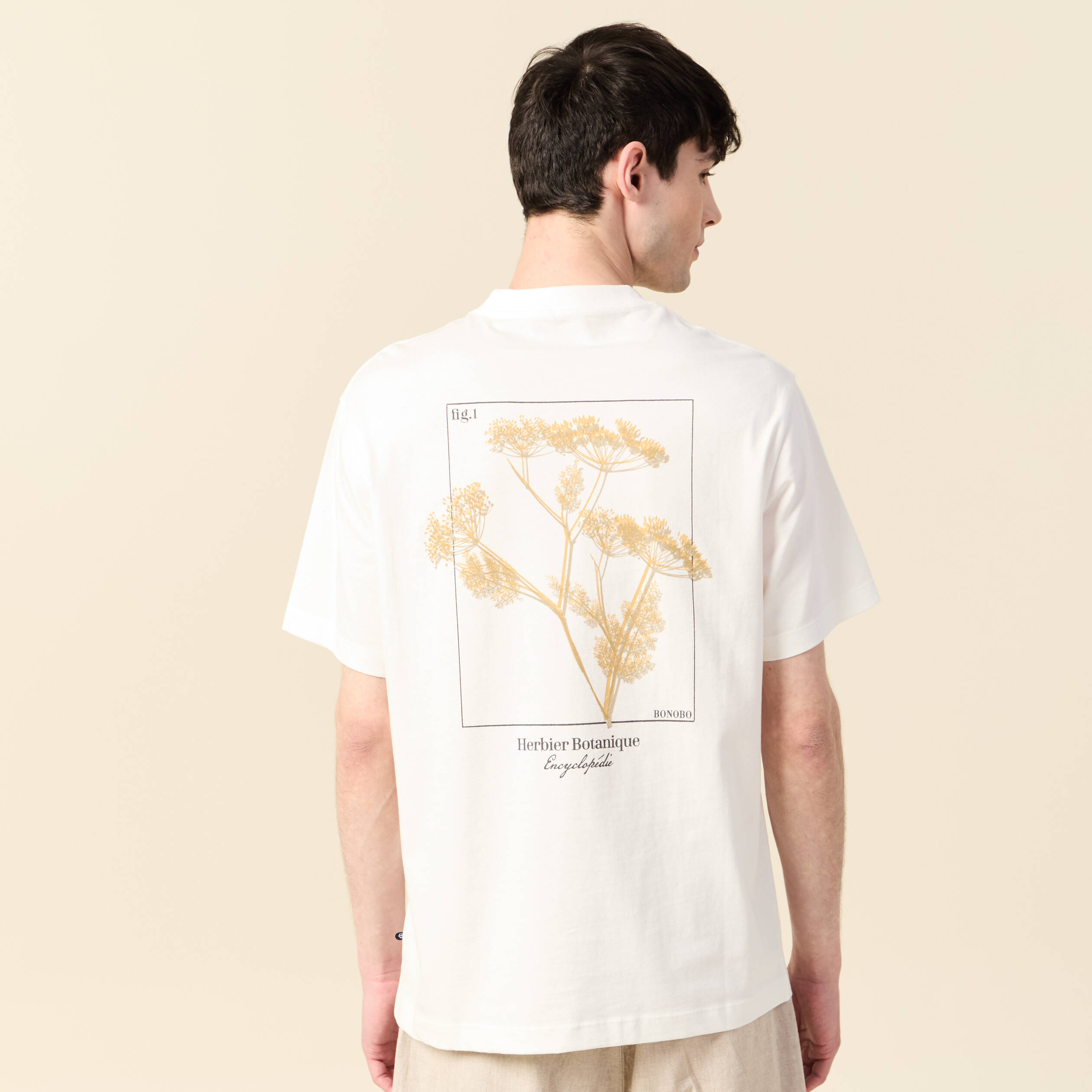 T-shirt manches courtes ecru homme