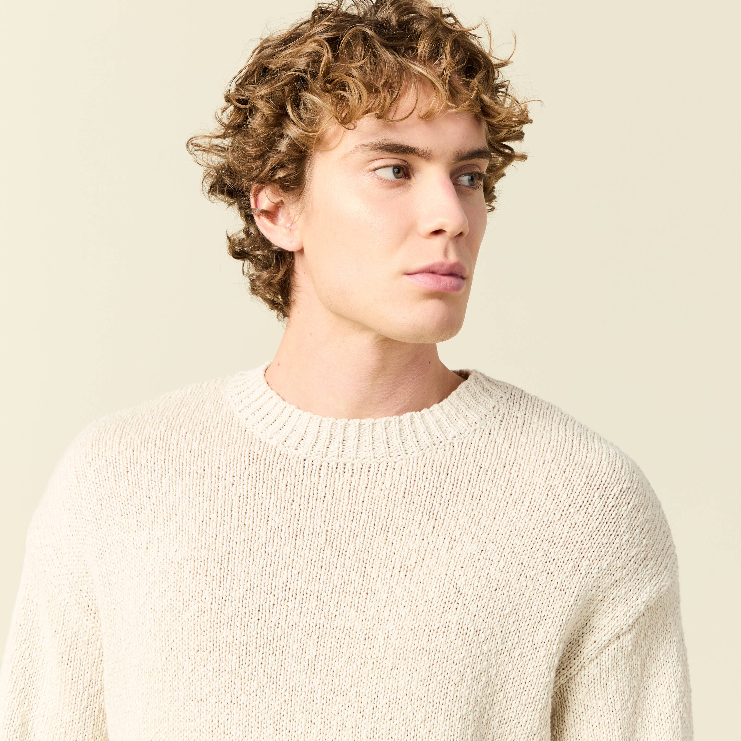 Pull col rond manches longues en coton sable homme