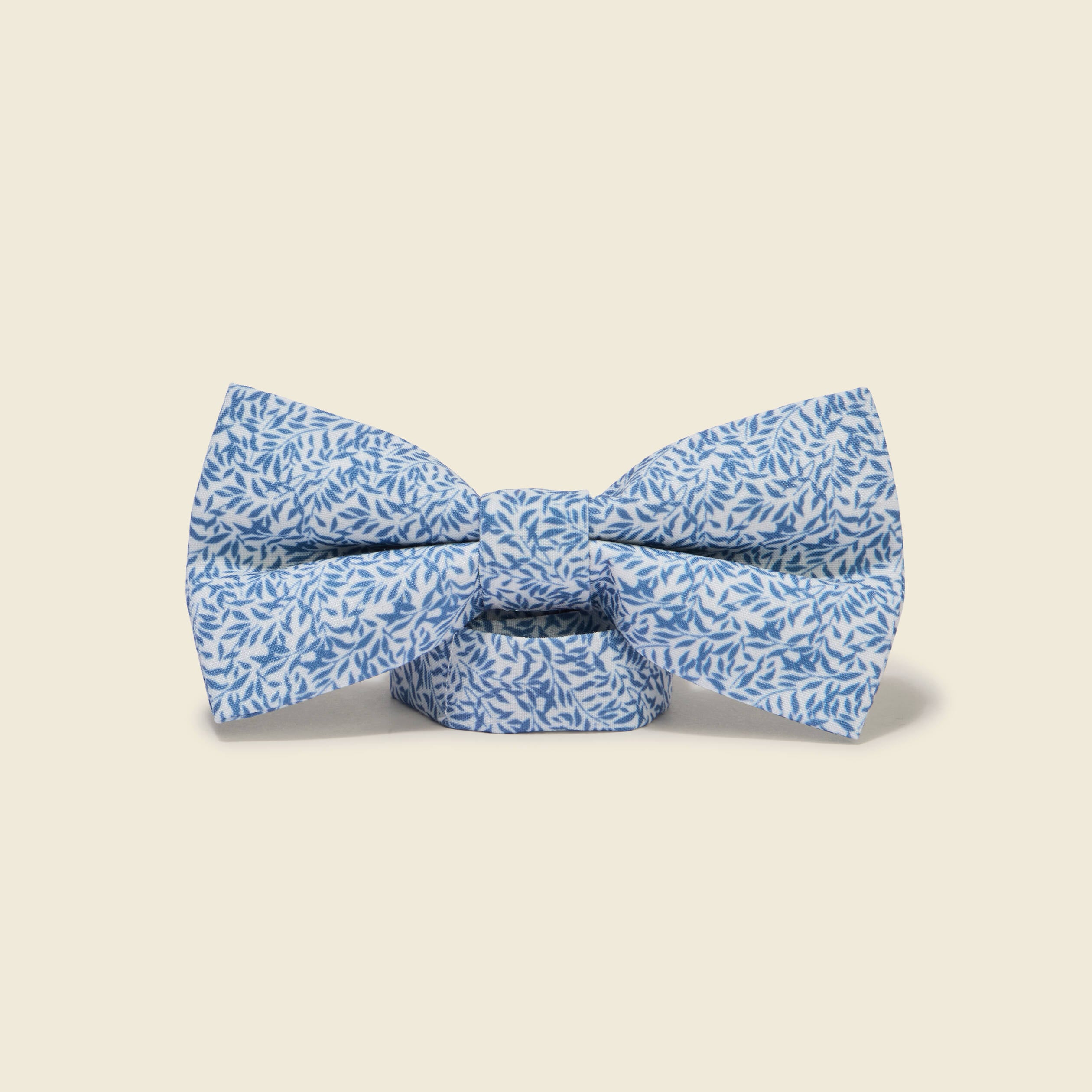 Noeud papillon vert clair homme