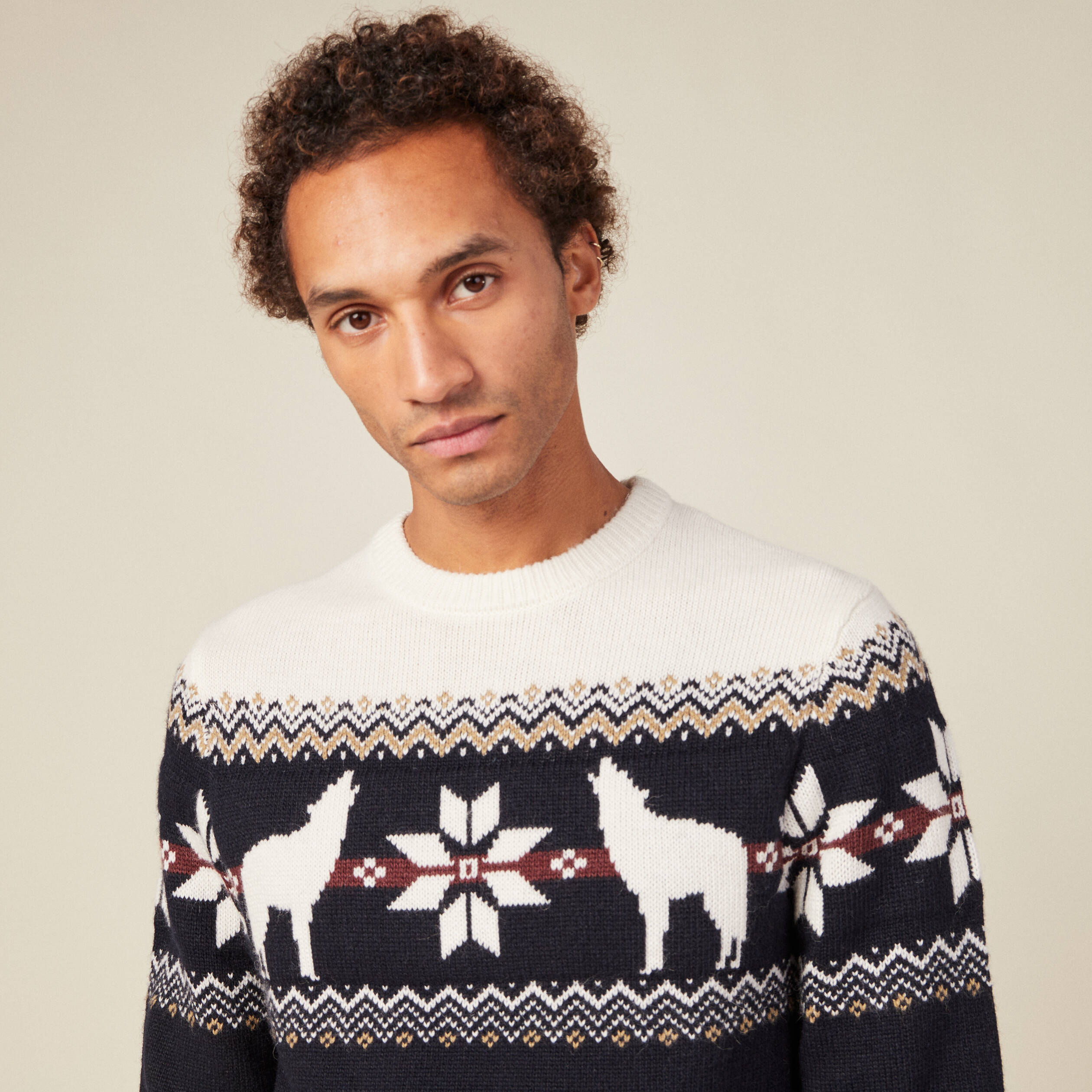 Pull manches longues bleu marine homme