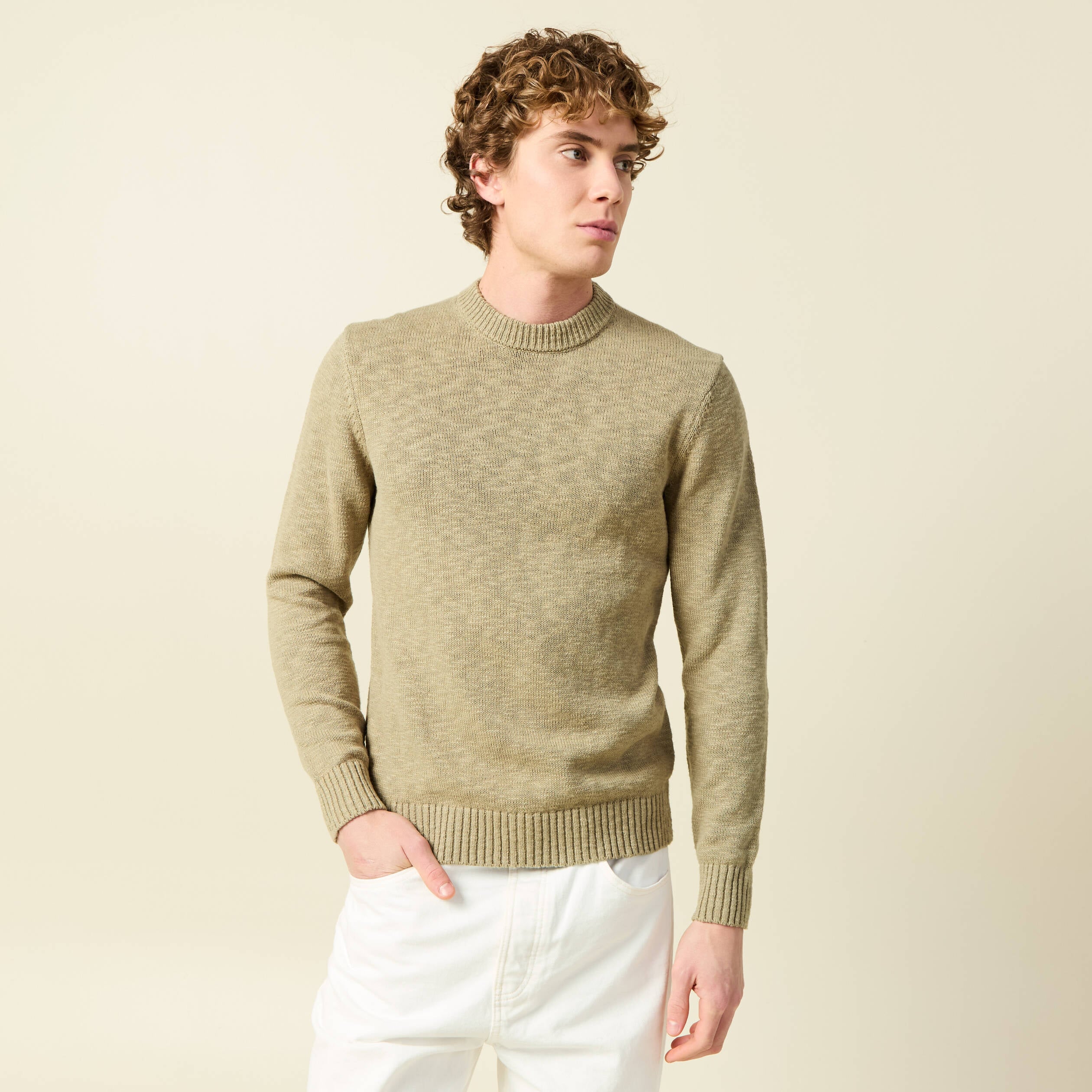 Pull col rond manches longues en coton beige fonce homme