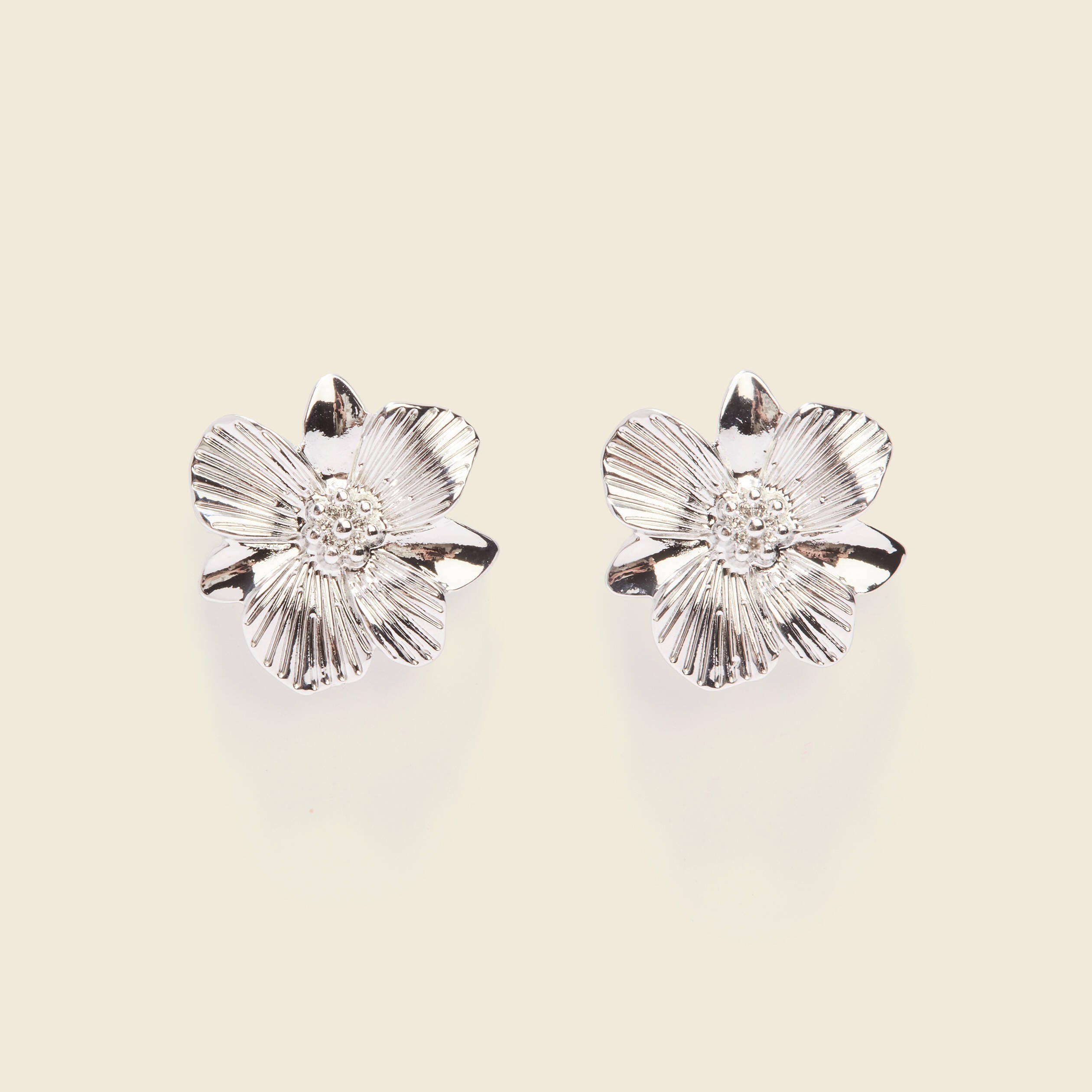 Boucles d'oreilles clous couleur argent femme