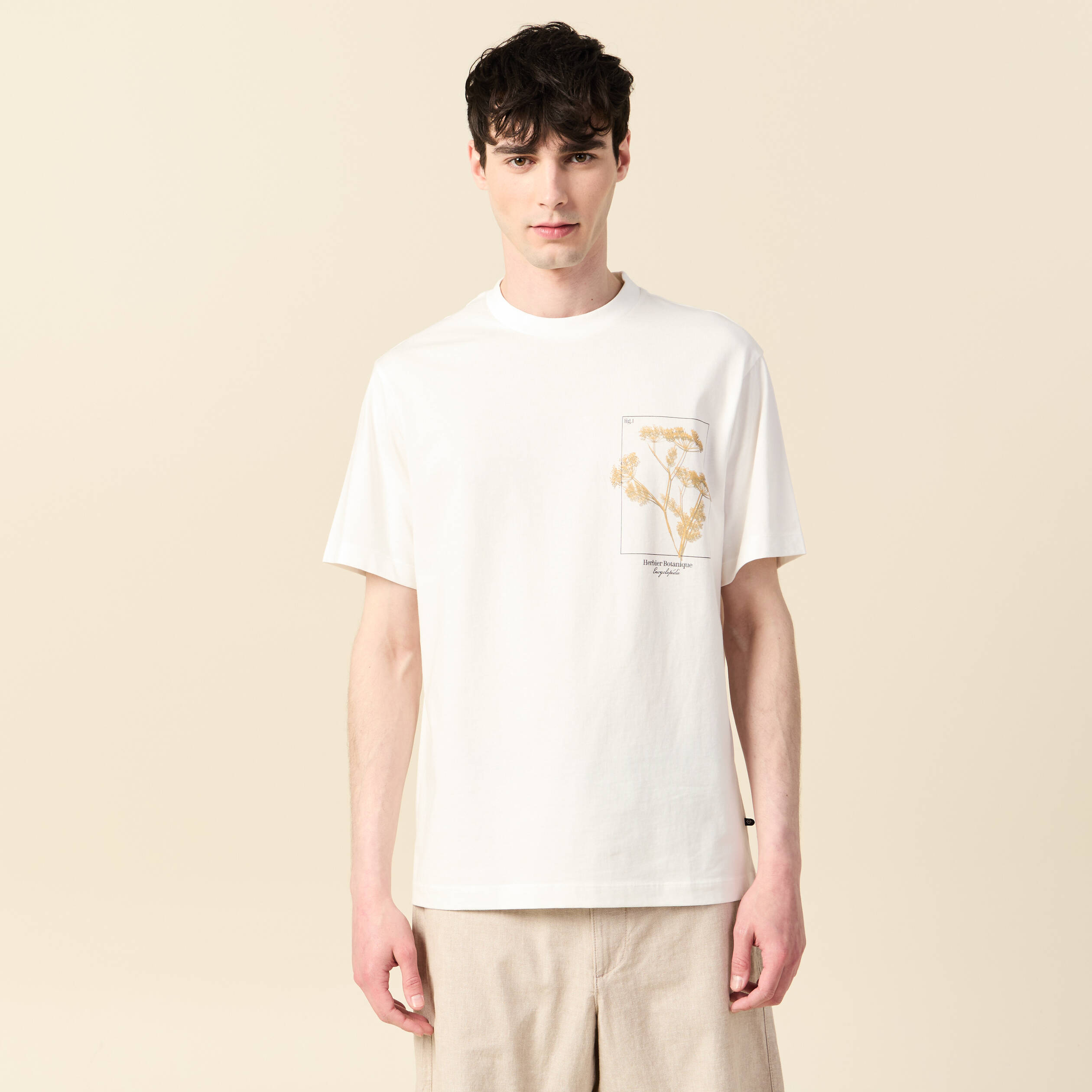 T-shirt manches courtes ecru homme