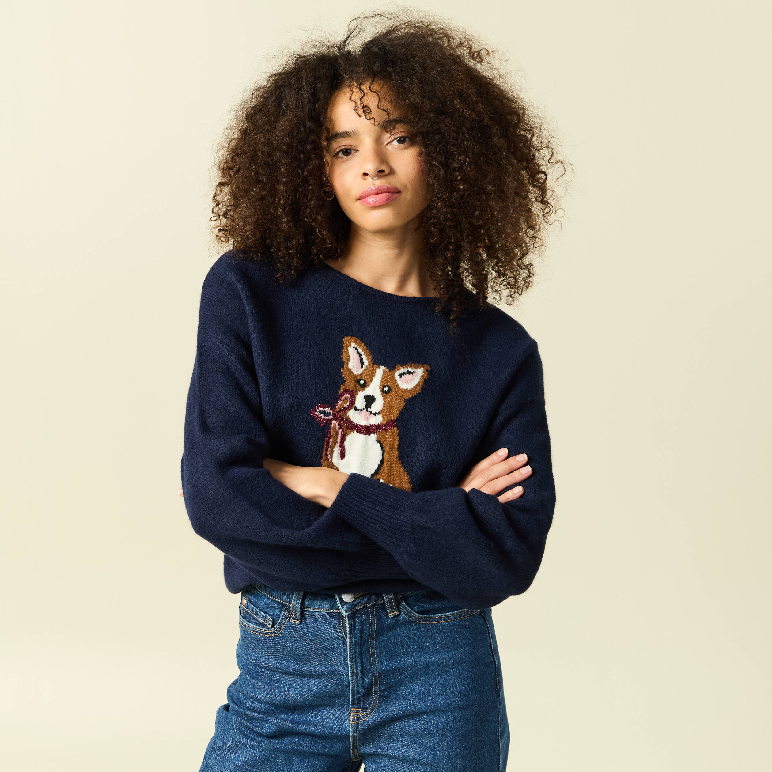 Pull col rond manches longues bleu marine femme