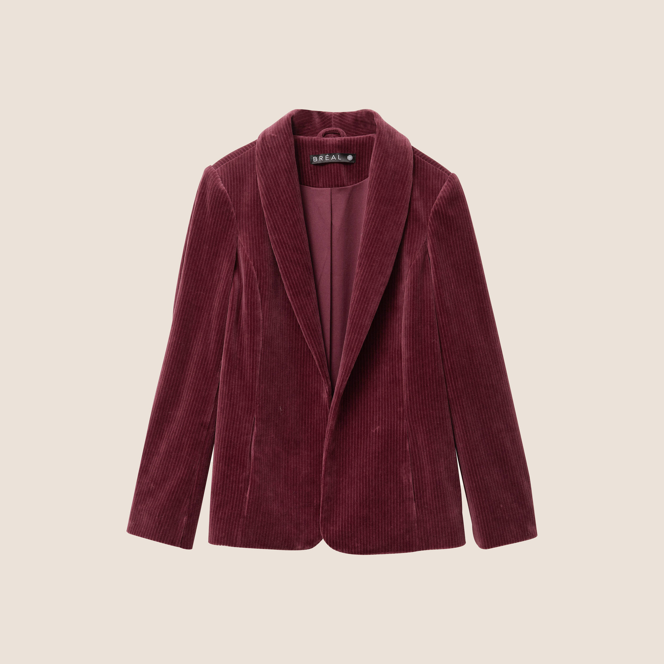 Velvet Jacket Blazer Velour Femme Structured Velvet Jacket Women