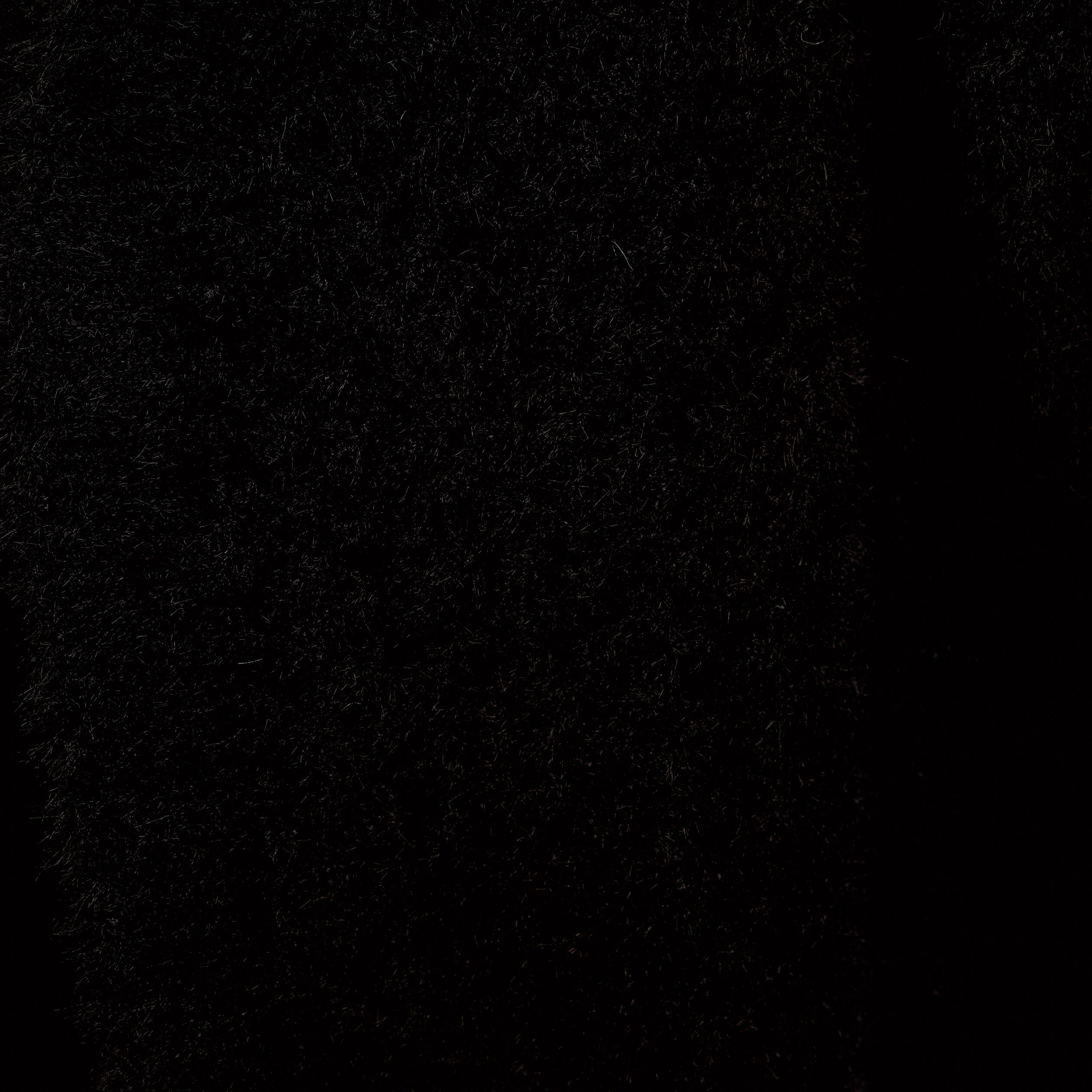 Gilet droit manches longues noir femme